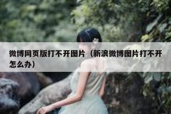 微博网页版打不开图片（新浪微博图片打不开怎么办） 第1张