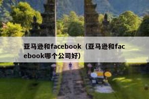 亚马逊和facebook（亚马逊和facebook哪个公司好） 第1张