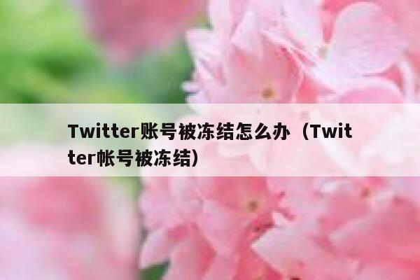 Twitter账号被冻结怎么办（Twitter帐号被冻结） 第1张