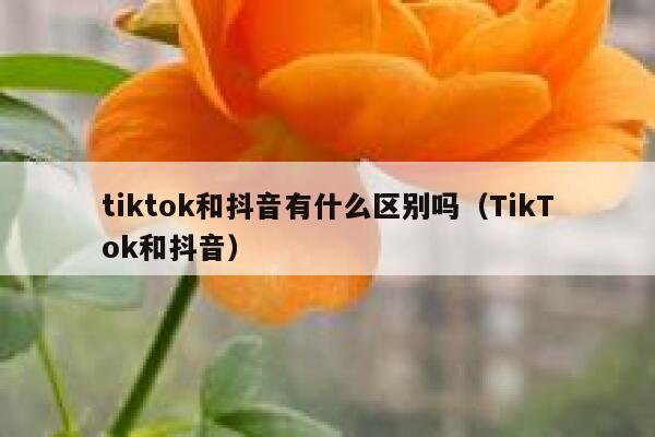 tiktok和抖音有什么区别吗（TikTok和抖音） 第1张