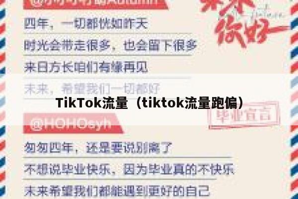 TikTok流量（tiktok流量跑偏） 第1张