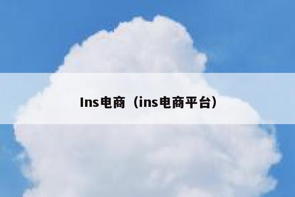 Ins电商（ins电商平台） 第1张