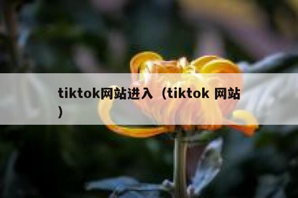 tiktok网站进入（tiktok 网站） 第1张