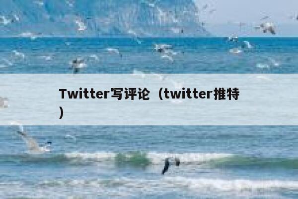 Twitter写评论（twitter推特） 第1张