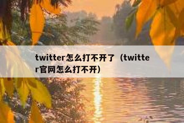 twitter怎么打不开了（twitter官网怎么打不开） 第1张