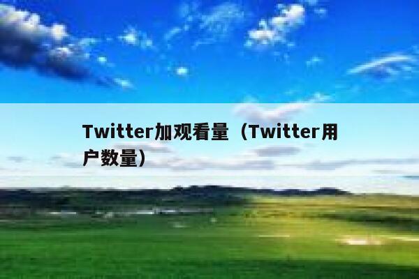 Twitter加观看量（Twitter用户数量） 第1张