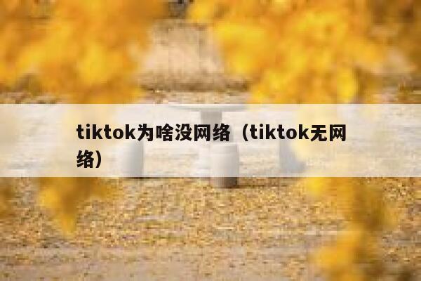 tiktok为啥没网络（tiktok无网络） 第1张