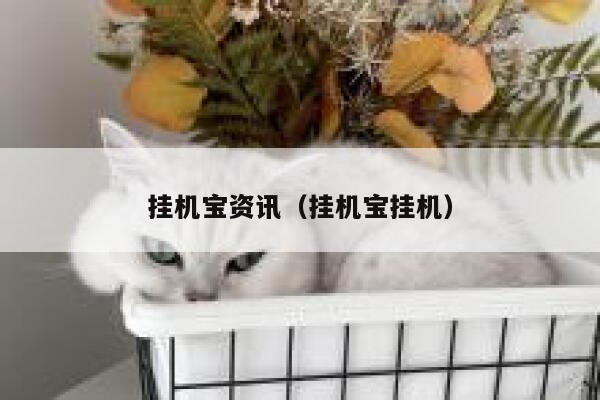 挂机宝资讯（挂机宝挂机） 第1张