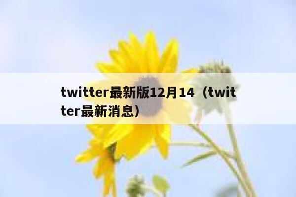 twitter最新版12月14（twitter最新消息） 第1张