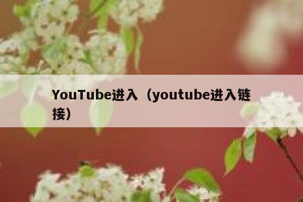 YouTube进入（youtube进入链接） 第1张