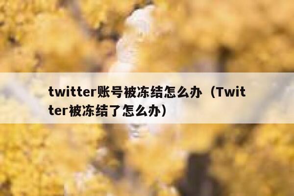 twitter账号被冻结怎么办（Twitter被冻结了怎么办） 第1张