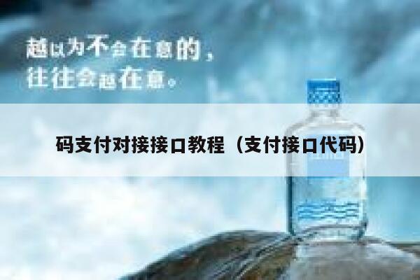 码支付对接接口教程（支付接口代码） 第1张