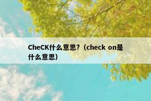 CheCK什么意思?（check on是什么意思） 第1张