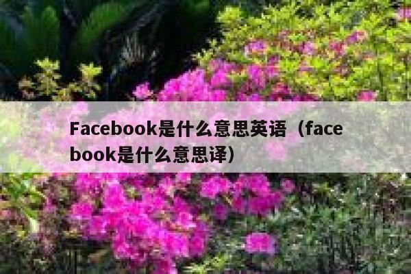 Facebook是什么意思英语（facebook是什么意思译） 第1张