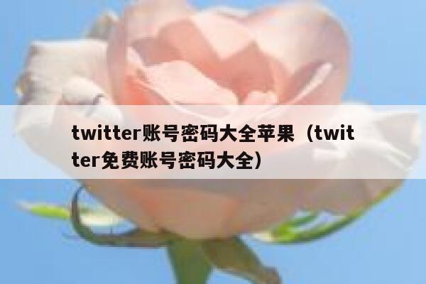 twitter账号密码大全苹果（twitter免费账号密码大全） 第1张