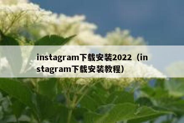 instagram下载安装2022（instagram下载安装教程） 第1张