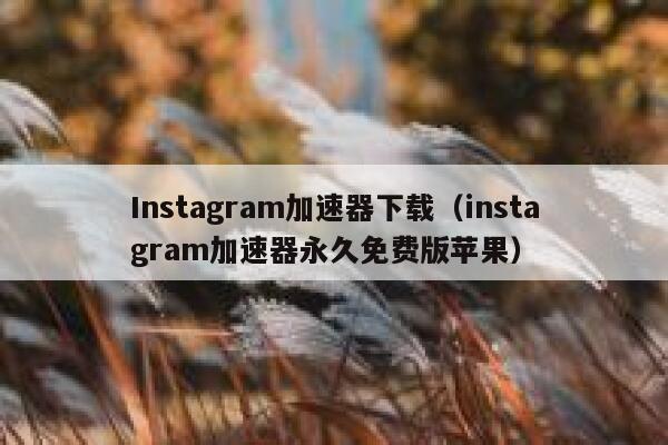 Instagram加速器下载（instagram加速器永久免费版苹果） 第1张