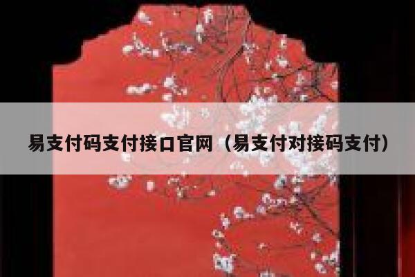 易支付码支付接口官网（易支付对接码支付） 第1张