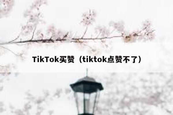 TikTok买赞（tiktok点赞不了） 第1张