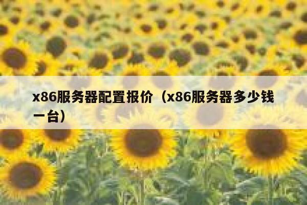 x86服务器配置报价（x86服务器多少钱一台） 第1张