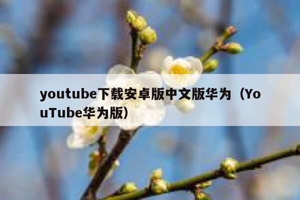 youtube下载安卓版中文版华为（YouTube华为版） 第1张