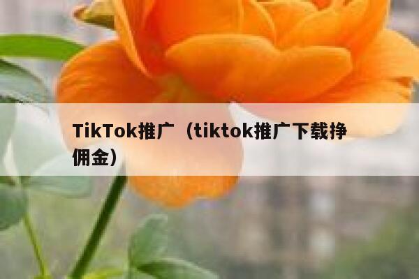 TikTok推广（tiktok推广下载挣佣金） 第1张