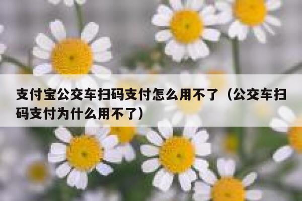 支付宝公交车扫码支付怎么用不了（公交车扫码支付为什么用不了） 第1张