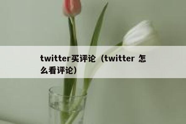 twitter买评论（twitter 怎么看评论） 第1张