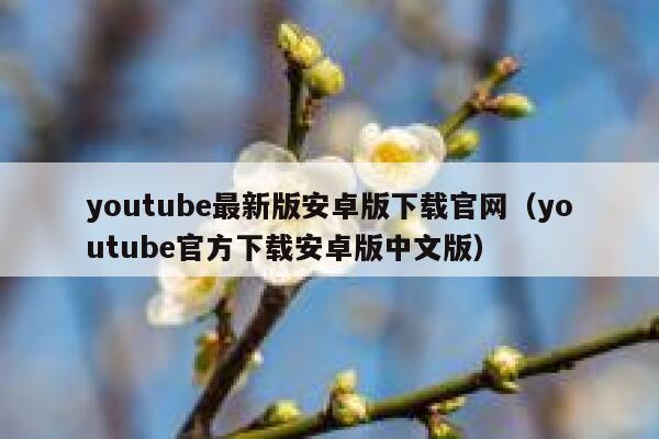 youtube最新版安卓版下载官网（youtube官方下载安卓版中文版） 第1张