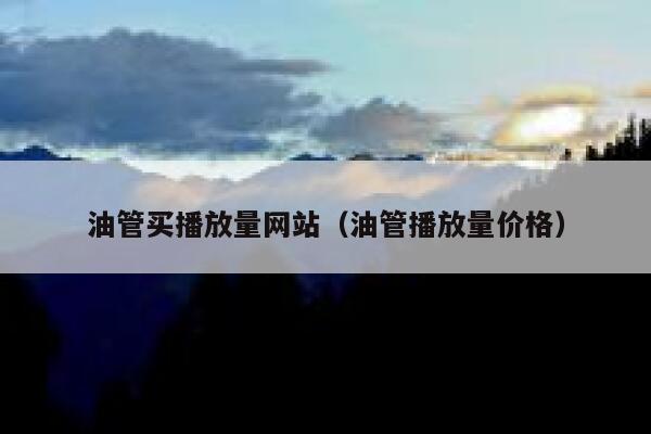 油管买播放量网站（油管播放量价格） 第1张