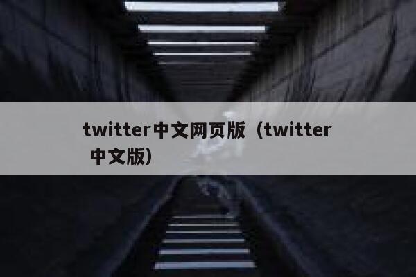 twitter中文网页版（twitter 中文版） 第1张