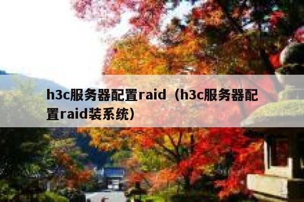 h3c服务器配置raid（h3c服务器配置raid装系统） 第1张