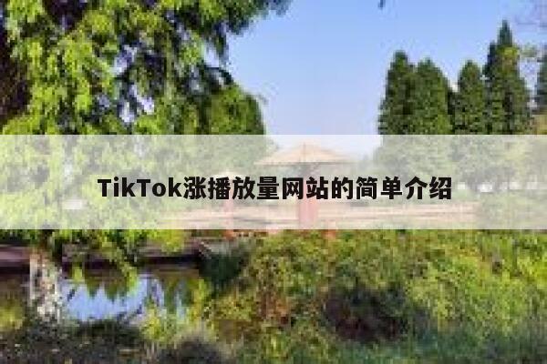 TikTok涨播放量网站的简单介绍 第1张