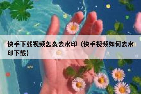 快手下载视频怎么去水印（快手视频如何去水印下载） 第1张