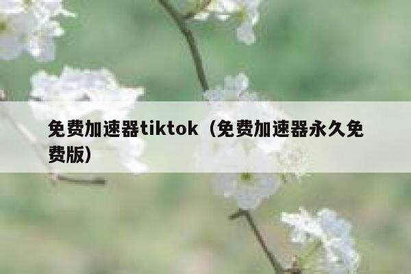 免费加速器tiktok（免费加速器永久免费版） 第1张