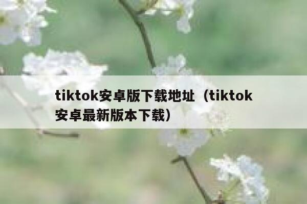 tiktok安卓版下载地址（tiktok安卓最新版本下载） 第1张