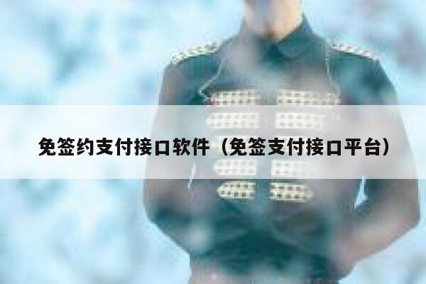 免签约支付接口软件（免签支付接口平台） 第1张