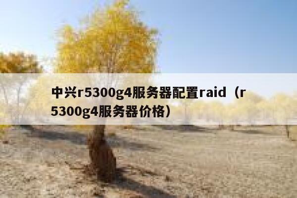 中兴r5300g4服务器配置raid（r5300g4服务器价格） 第1张