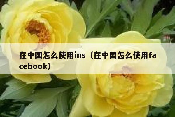 在中国怎么使用ins（在中国怎么使用facebook） 第1张