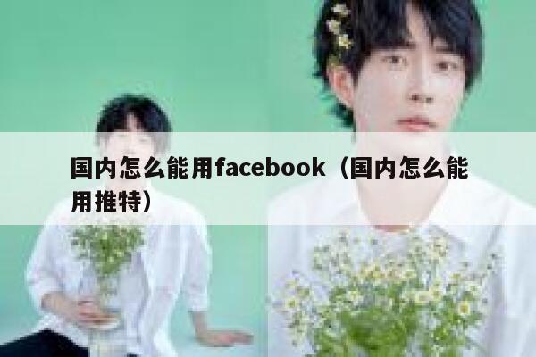 国内怎么能用facebook（国内怎么能用推特） 第1张