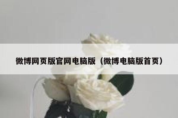 微博网页版官网电脑版（微博电脑版首页） 第1张