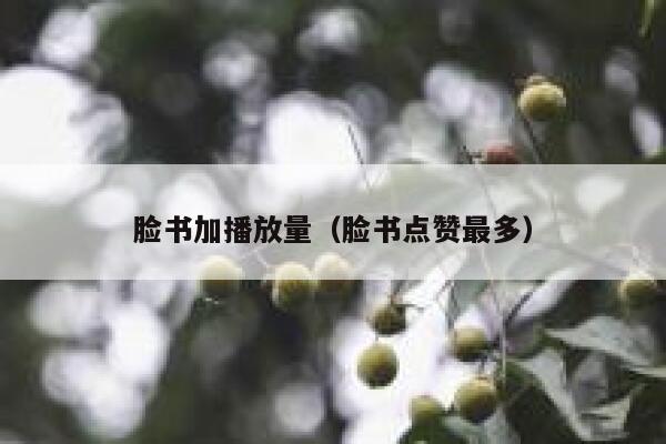 脸书加播放量（脸书点赞最多） 第1张