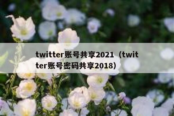 twitter账号共享2021（twitter账号密码共享2018） 第1张