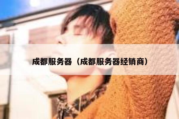 成都服务器（成都服务器经销商） 第1张