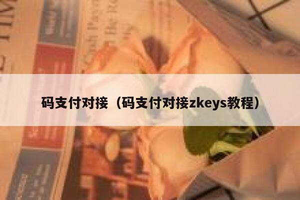 码支付对接（码支付对接zkeys教程） 第1张