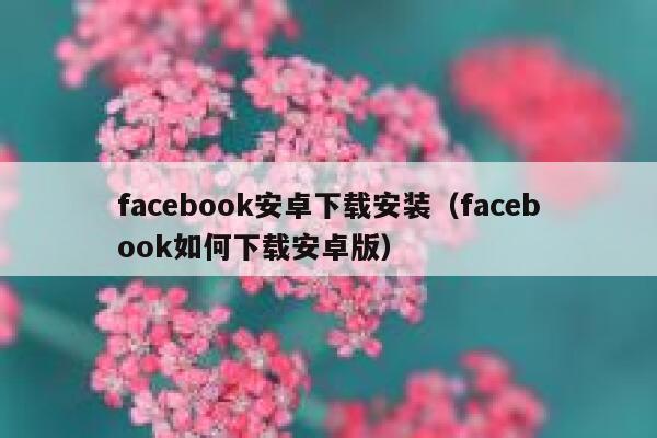 facebook安卓下载安装（facebook如何下载安卓版） 第1张