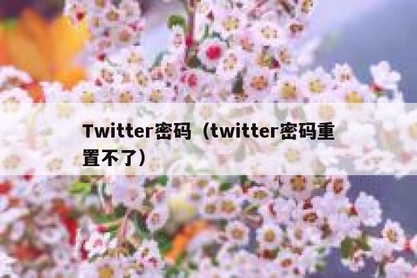 Twitter密码（twitter密码重置不了） 第1张