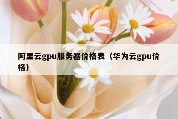 阿里云gpu服务器价格表（华为云gpu价格） 第1张