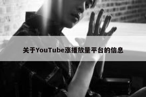 关于YouTube涨播放量平台的信息 第1张