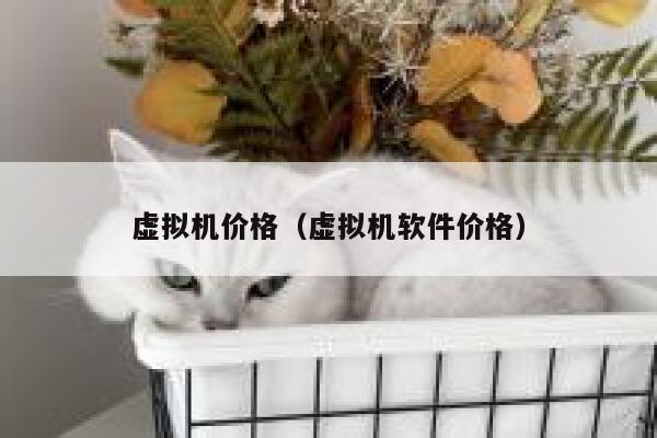 虚拟机价格（虚拟机软件价格） 第1张